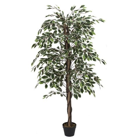 The Home Deco Factory Plante Artificielle Feuillage Panache 160cm