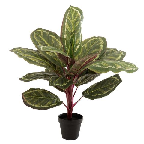 J-line Plante Artificielle en Pot Peacock 60cm