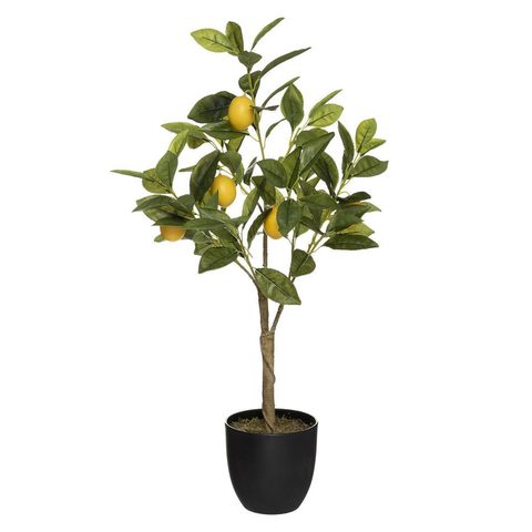 Atmosphera Plante Artificielle Citronnier 73cm
