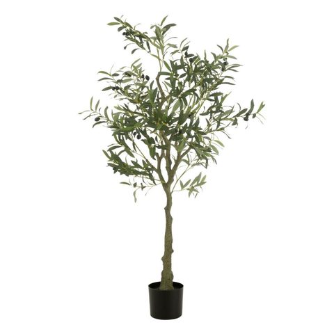 J-line Plante Artificielle en Pot Olivier 150cm