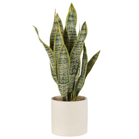 J-line Plante Artificielle en Pot Sansevieria 60cm