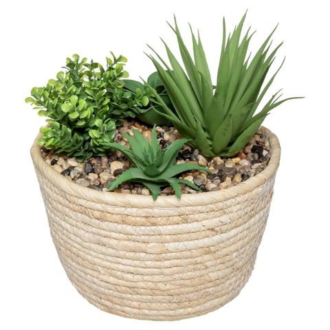 Atmosphera Plante Artificielle Composition 18cm