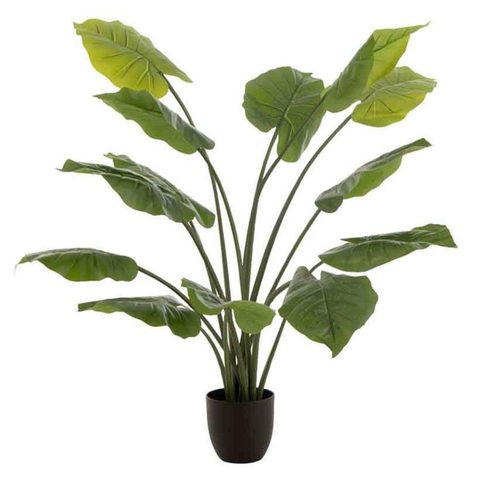 J-line Plante Artificielle Taro Sauvage 123cm