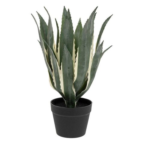 Atmosphera Plante Artificielle Agave Exotic Panama 55cm