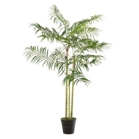 J-line Plante Artificielle Palmier Bambou 170cm