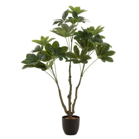 J-line Plante Artificielle en Pot Pachira 110cm