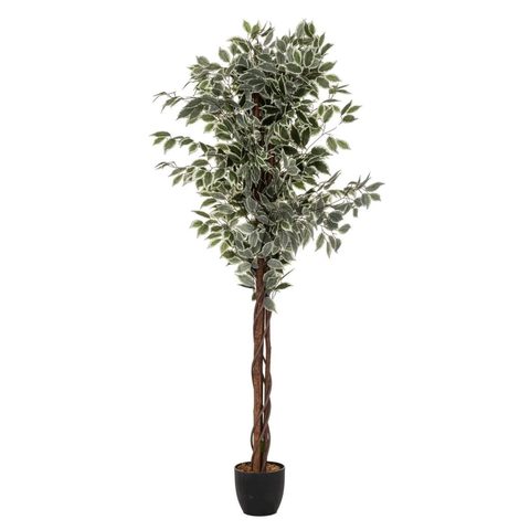 Atmosphera Plante Artificielle Ficus 180cm