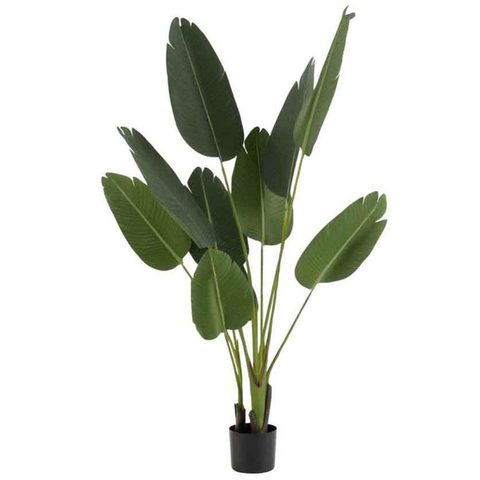 J-line Plante Artificielle en Pot Strelitzia 165cm