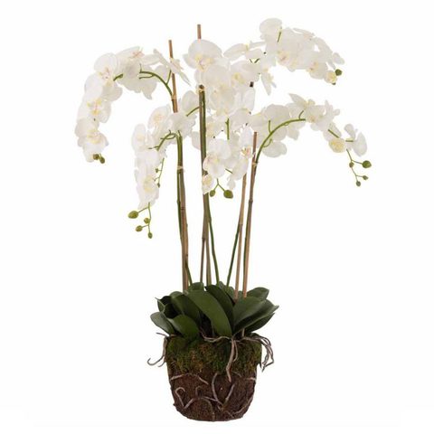 J-line Fleur Artificielle Déco Orchidée en Terre 98cm