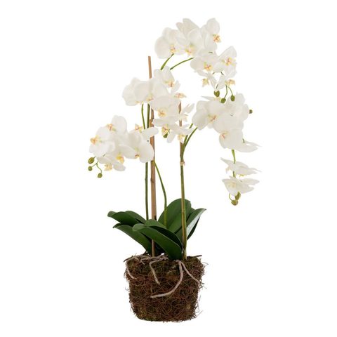 J-line Fleur Artificielle Déco Orchidée en Terre 72cm