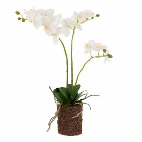 J-line Fleur Artificielle Déco Orchidée en Terre 54cm
