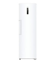 Haier Congélateur armoire H4F306WDH1