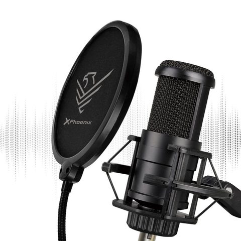 Phoenix Streamcast Pro avec bras extensible