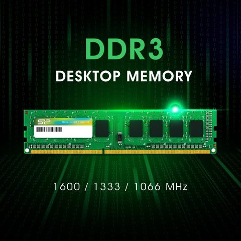 Silicon Power Mémoire DDR3L 8 Go SP008GLLTU160N02 UDIMM PC3L-12800 CL11 1600 MHz