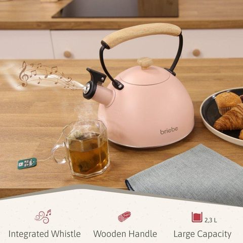 Briebe Bouilloire À Induction Théière Sifflet 2,3l Retro, Poignée En Bois Pastel
