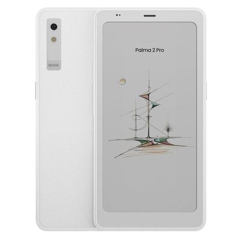 Onyx Liseuse Boox Palma2 Pro (,)