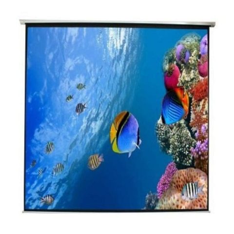 Approx Écran De Projection Pour Ordinateur Appp240e (240 X 240 Cm)