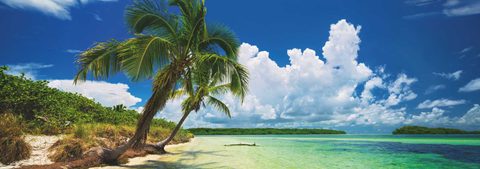 Heye Puzzle Puzz.paradise Palm 2000 Pa