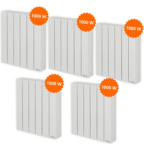 Thermor Pack 5 radiateurs électriques 1000 W Baléares 2