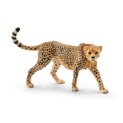 Schleich Guépard Femelle - Figurine Wild Life - 14746