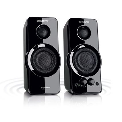 Woxter Haut-parleurs Big Bass 95 2.0