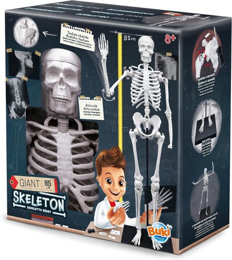 Buki Squelette 85 Cm