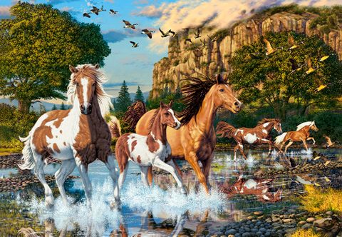 Castorland Puzzle Horse Wonderland - 1000 Pièces - Puzzle Chevaux