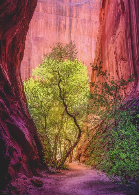 Heye Puzzle: Canyon Chantant 1000