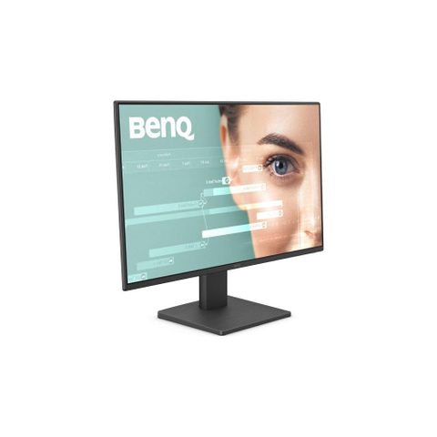 Benq GW2491 écran plat de PC 60,5 cm (23.8 ) 1920 x 1080 pixels Full HD LED