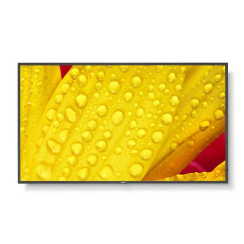 NEC Moniteur 50 pouces 4K Ultra HD