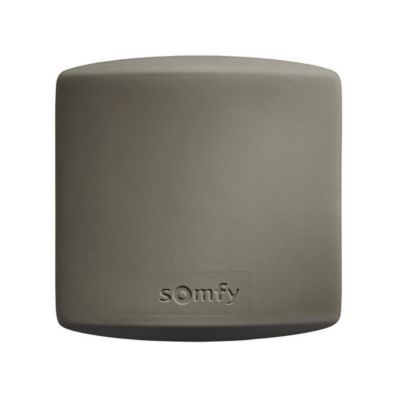 Somfy Récepteur technologie IO 1841229 pour portail et garage