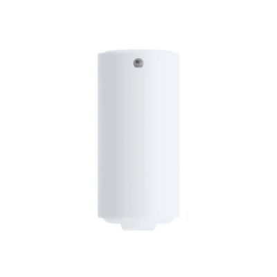 Thermor Chauffe-eau électrique blindé vertical mural compact 200 L 861513