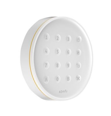 Somfy Clavier d'alarme intérieur à code Protect