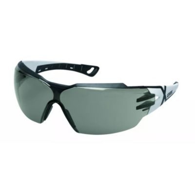Uvex Lunettes de protection pheos cx2, verres