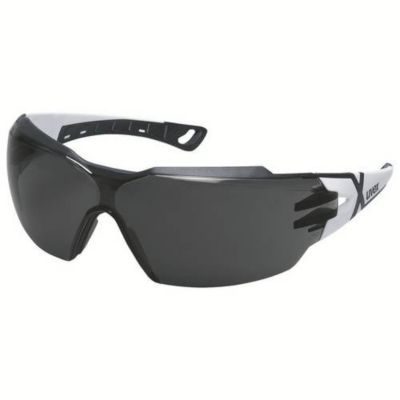 Uvex Lunettes de protection pheos cx2 9198230 verres gris 14 %
