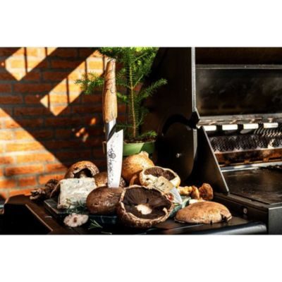 Forge Couteau du chef FORGED KATAI lame VG10 16 cm manche bois de racine