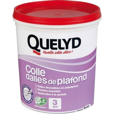 Quelyd Colle dalle plafond - 1 Kg