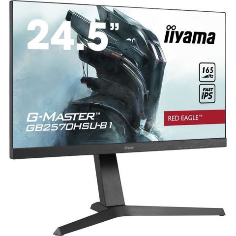 Iiyama G-Master Noir