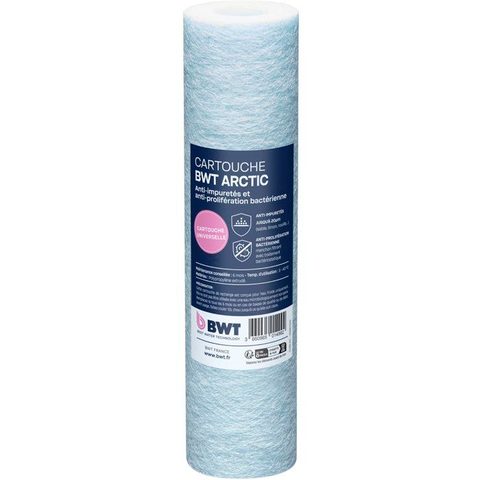 BWT Station de filtration duplex - PURACTIV - ARCTIC 20 µm + PUREBLOCK - Filtration impuretés