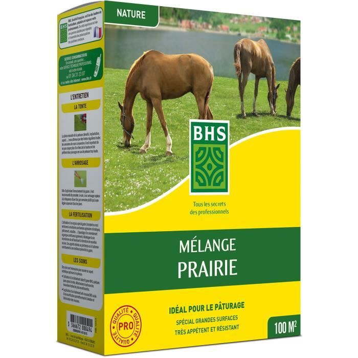 Bhs Semence de Gazon - Mélange Prairie 1kg 100m² Pour zones extensives et pâturage Installation rapide résistant