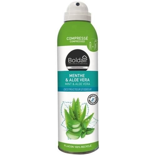Boldair Désodorisant compressé Menthe et Aloe Vera- 250 ml