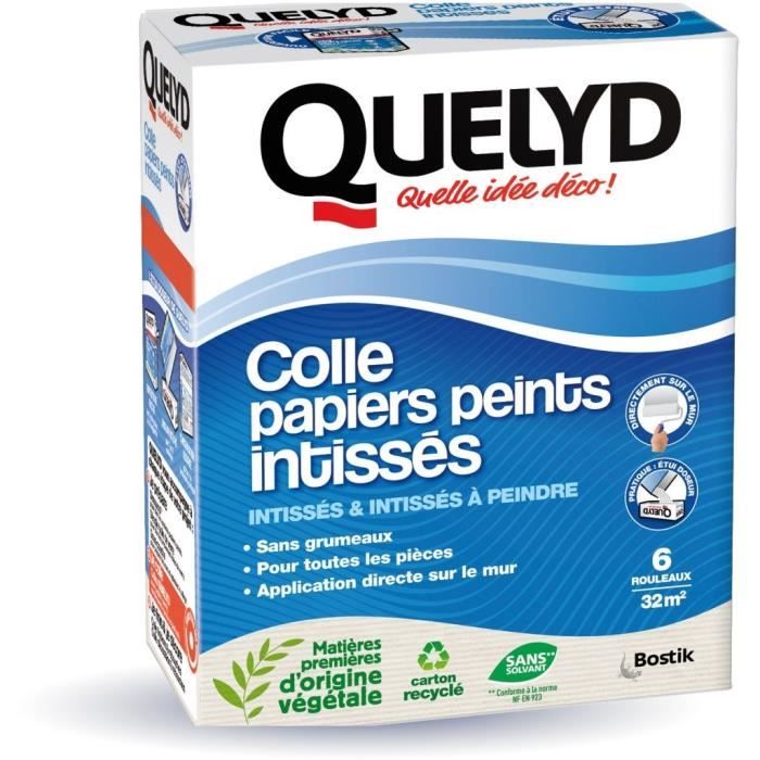 Quelyd Colle papiers peints - Intissés en poudre - Toutes pièces - Application murale - Étui doseur 300 g
