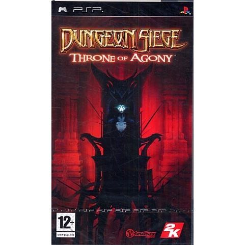 Dungeon Siege PSP