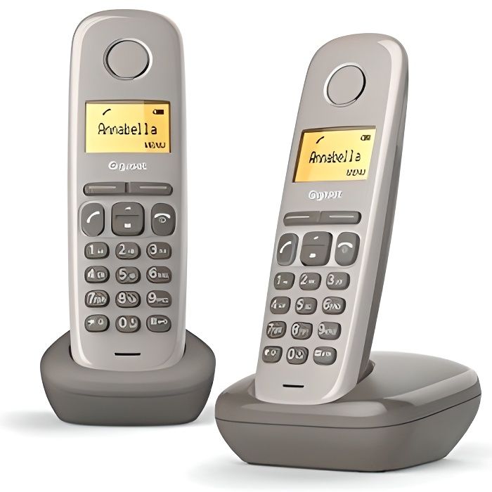 Gigaset Téléphone Fixe A170 Duo Umbra - Écran rétroéclairé - Répertoire 50 contacts - Compatible aide auditive